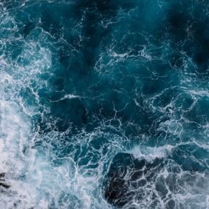 Meet your Posher, Lorena